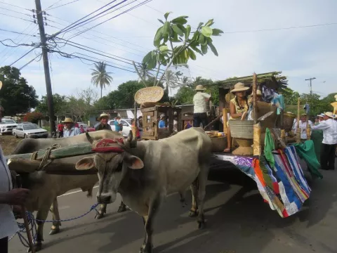 Celebran con gran desfile de carretas en Natá 