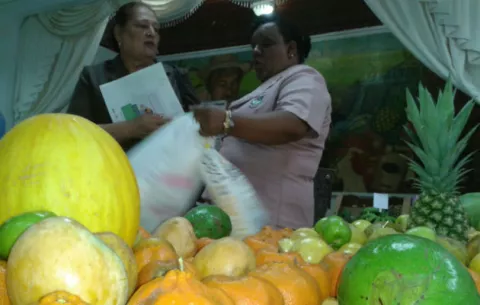 Celebran el día de las frutas en Santiago de Veraguas