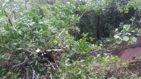Fuertes lluvias en Chiriquí empiezan a dejar afectaciones