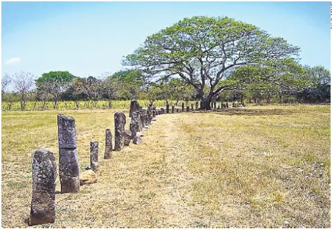 Mass grave casts light on our past