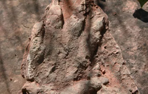 España: Hallan huella de dinosaurio de 230 millones de años