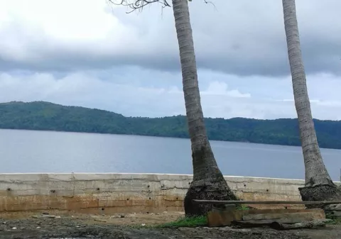 Brote de fiebre, vómitos y dolores de cabeza en isla Gobernadora de Montijo