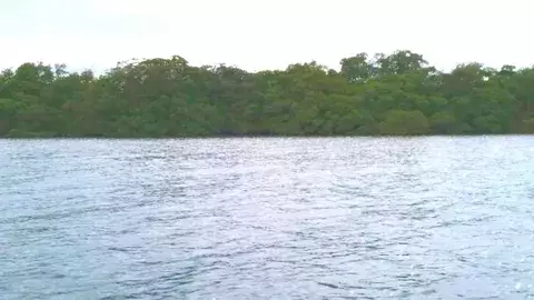 Hallan sin vida a funcionario del Mides en manglares de Bocas del Toro 