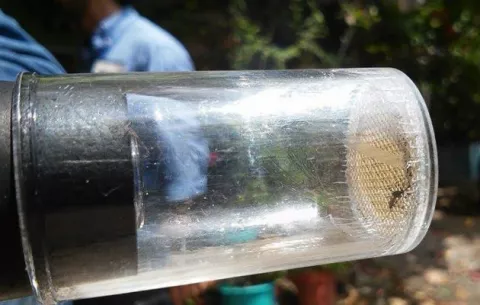 Se disparan los casos de dengue en Chiriquí, con las primeras lluvias