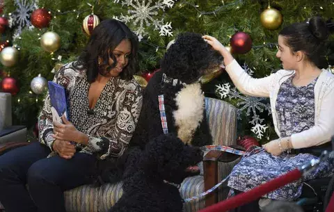 Los perros de la familia Obama no solo comen y duermen 