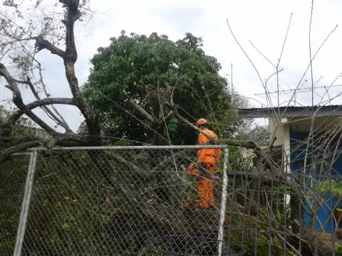 Afectaciones por primeras lluvias en comunidades de Pesé y Chitré