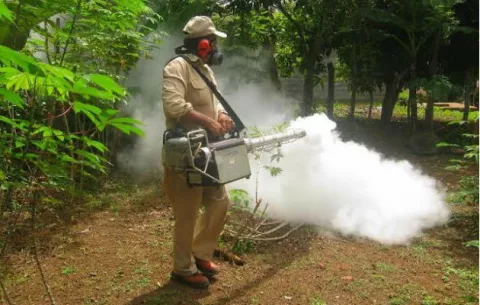 Minsa advierte que el Zika podría llegar a Chiriquí 
