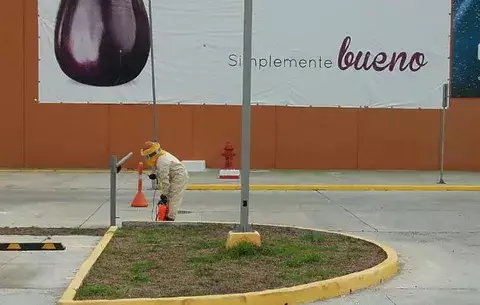 Enjambre de abejas en estacionamientos de Santiago Mall
