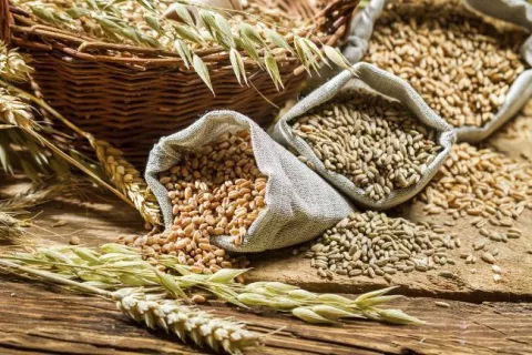 Los cereales integrales reducen el riesgo de padecer enfermedades crónicas
