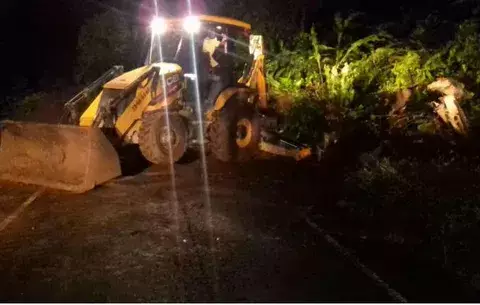 Bocas afectado por deslizamiento de tierra y caída de árboles 