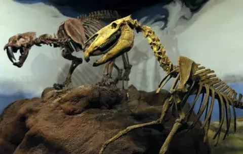 Ciudad argentina "resucitó" al dinosaurio más grande del mundo
