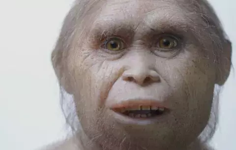 Restos remontan origen de "hobbit" a unos 700.000 años 
