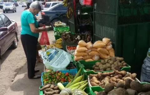 Urge mercado para el distrito de Aguadulce