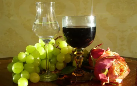 Pisco y vino: 5 tips para una buena elección