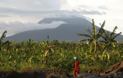 Tierra volcánica beneficia cultivo en Congo, pero hay riesgo 
