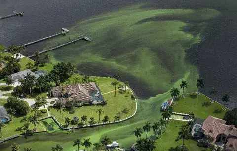 El ejército combatirá brote de algas en lago de Florida 