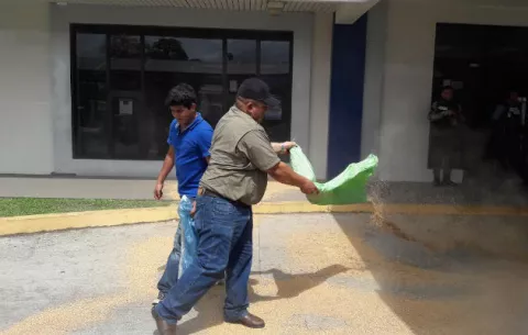 Productores de arroz se niegan a salir de la Casa del Arrocero
