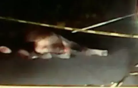 Pierde la vida  en Bocas al chocar su moto contra una vaca en soltura