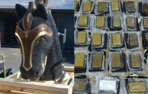 Incautan cocaína oculta en caballo de diamantes