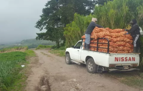 Productores en estado de alerta por importación descontrolada