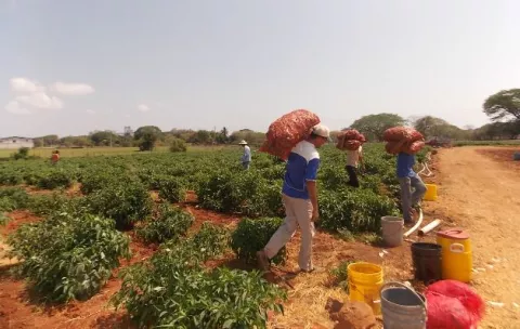 Productores: “nosotros no tenemos protección”