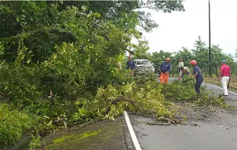 Crecida de ríos y caída de árboles provocan lluvias en Chiriquí 