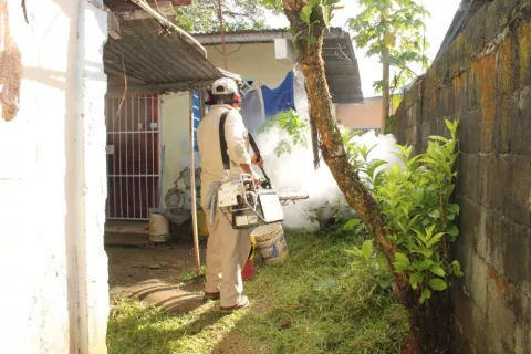 Aumentan casos sospechosos de dengue clásico en Chiriquí