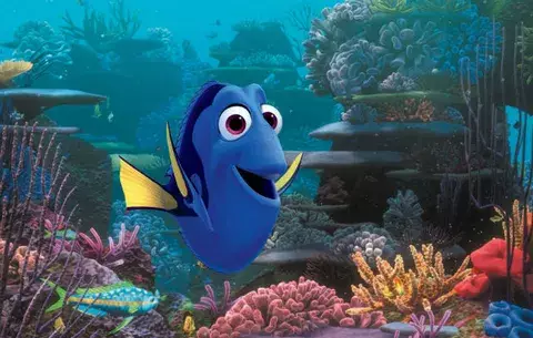 Laboratorio reproduce al pez "Dory" en cautiverio 