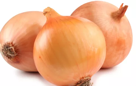 Beneficios de la cebolla para la salud