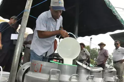 Productores piden extender compensación al precio de la leche