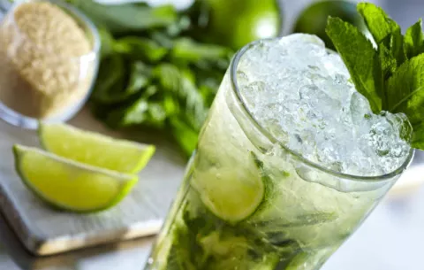 ¡Hoy es el día del Mojito!