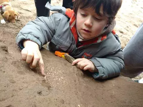 Niño halla en Argentina restos fósiles que se cree tienen 500.000 de años