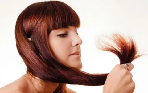 Seis aceites que te ayudan al crecimiento del cabello