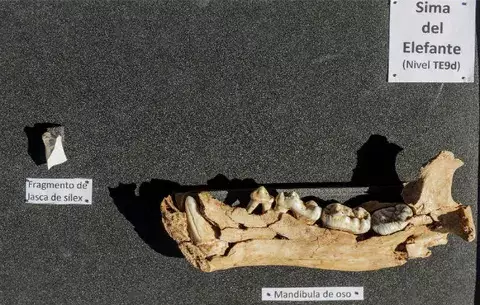 Hallan fragmentos fósiles de hace 400.000 años