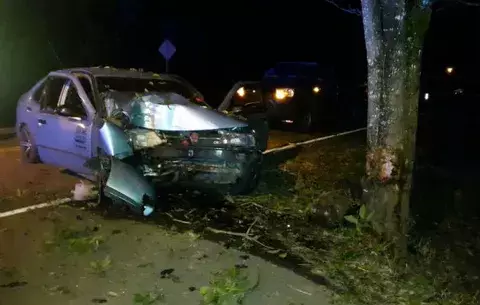 Dos heridos al estrellarse vehículo contra árbol 