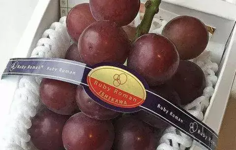 Venden un racimo de uvas por más de 10 mil dólares