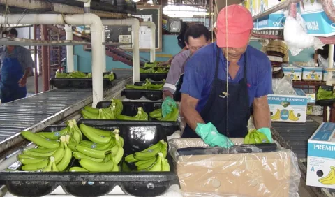 Importaciones siguen siendo mayores a las exportaciones