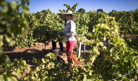 Colombia realizará  formalización rural 
