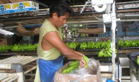 Panamá está siendo 'rehén' de los  tratados comerciales
