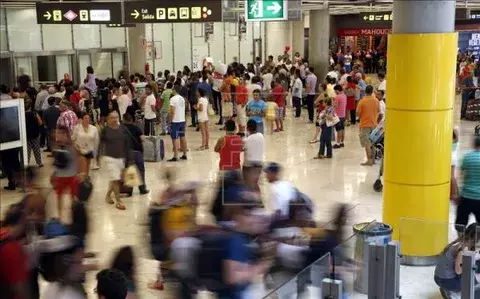 Pasajero llevaba 152 ejemplares de pájaros en una maleta