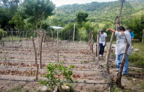 Guatemala organizará segundo "AgroEncuentro Rural" en noviembre