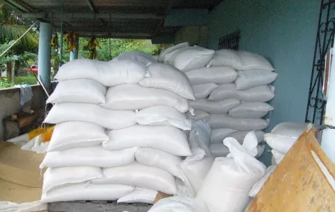  Productores denuncian subfacturación en la importación de arroz