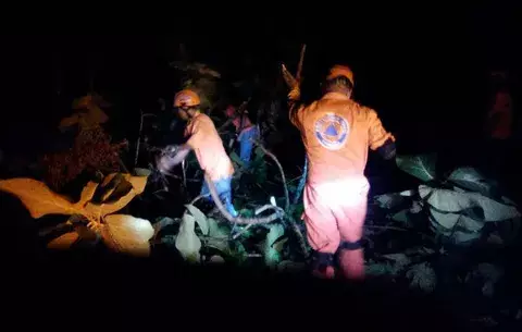 Caída de árboles en Bocas del Toro por mal tiempo