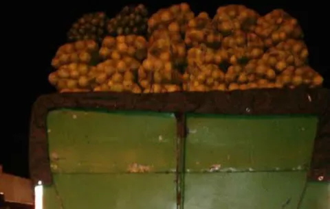 Retienen camión con naranjas hurtadas en Potrerillos