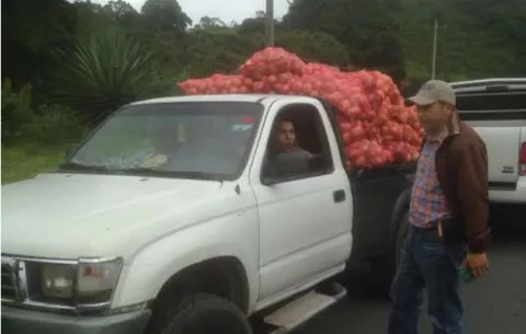 Retienen cebolla importada en el corregimiento de Volcán