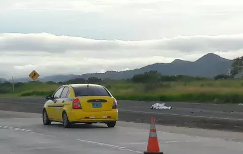 Intentaba cruzar la Interamericana, lo atropellaron y murió