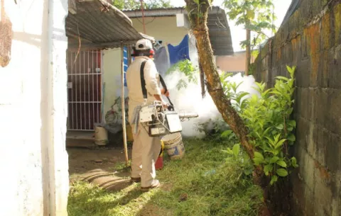 Preocupación por casos de dengue y chikungunya, en lado tico