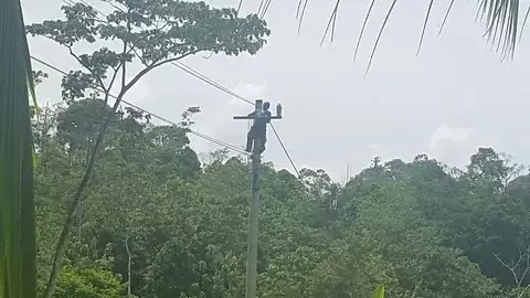 Miles de afectados luego de desmatelar tendido eléctrico en Bocas del Toro