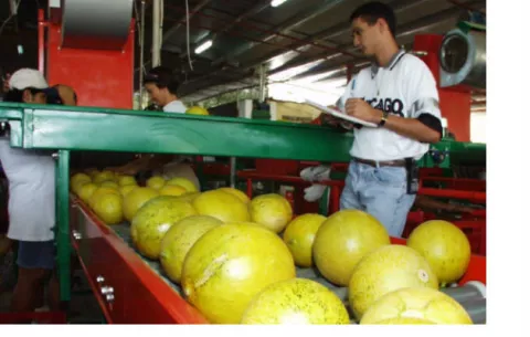  Realizarán diagnóstico del sector industrial panameño