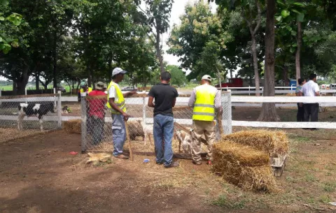 Se inicia la segunda versión de la  feria de Coclé, en Santa Mónica
